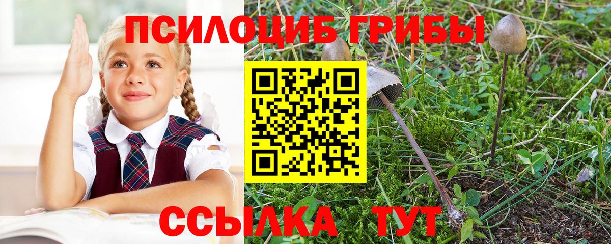 Ревда  Галлюциногенные грибы Psilocybe  Галлюциногенные грибы Psilocybe  Вход с VPN 
