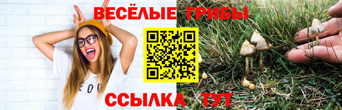 Псилоцибиновые грибы GOLDEN TEACHER Ревда